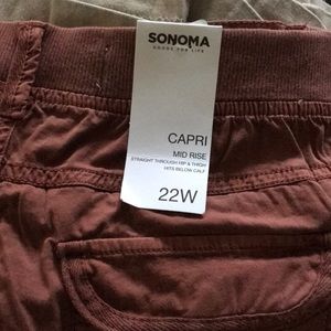 Capri mid rise pants